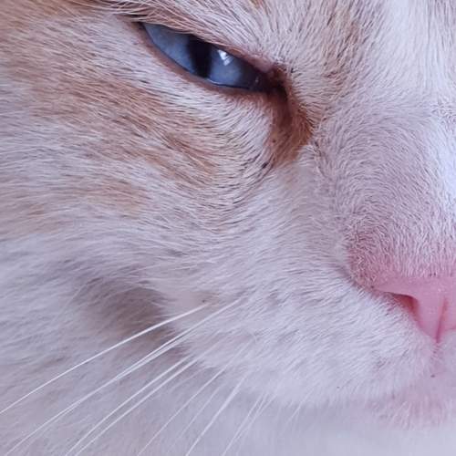 Photo #12860351