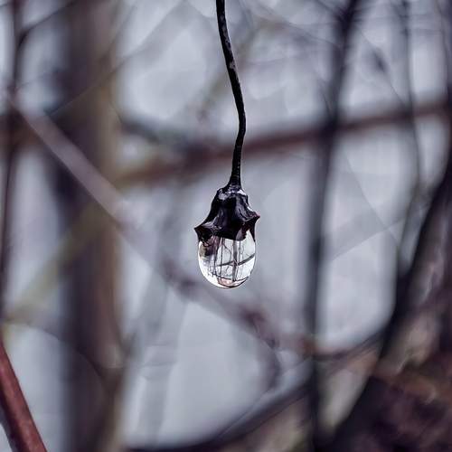 Photo #12860393