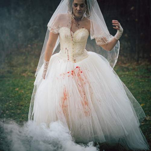 Photo #12860738