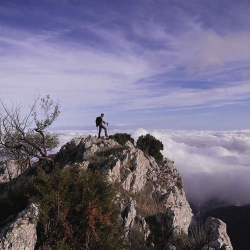 Photo #12861070