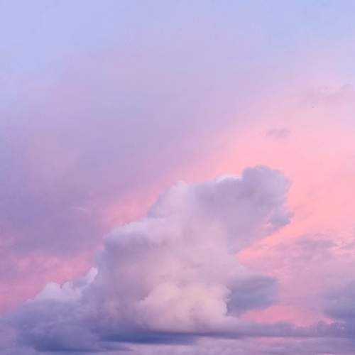 Photo #12861140