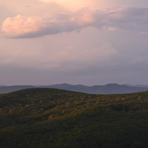 Photo #12861288
