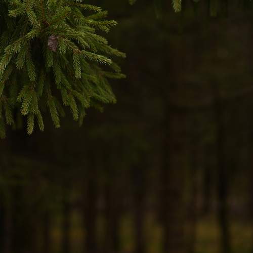 Photo #12861337