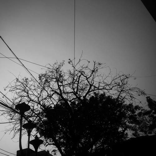 Capturing the b/w world.