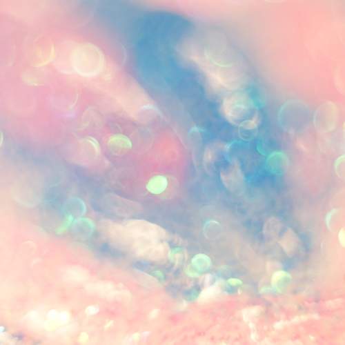 Photo #12861575