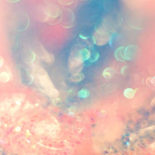 Photo #12861578