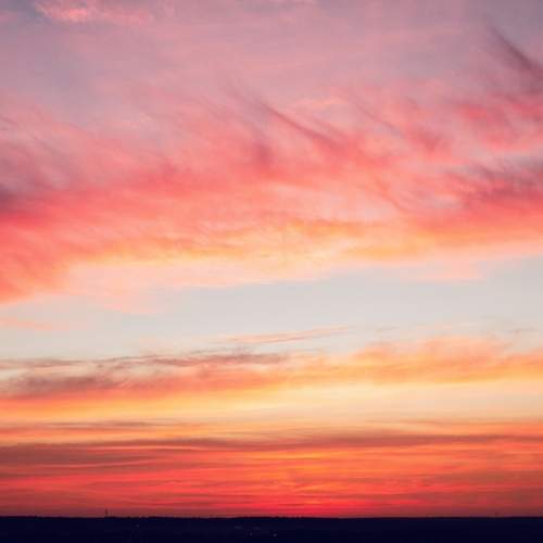 Photo #12861941
