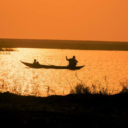 Photo #12861950