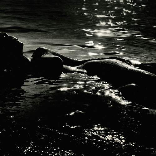 Photo #12861968