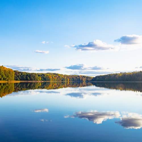 Photo #12862195