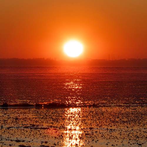 Photo #12862218