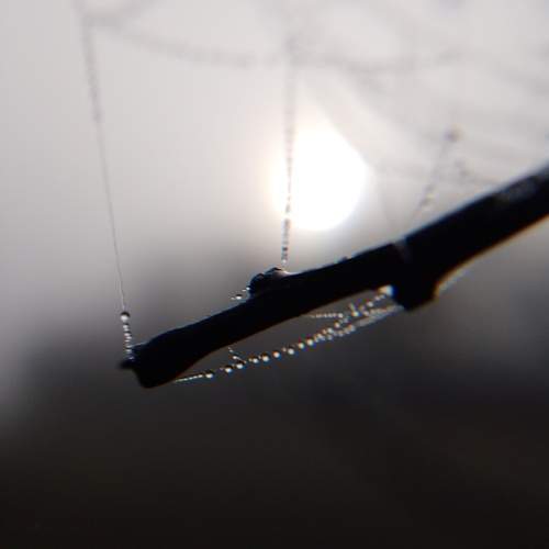 Photo #12862669