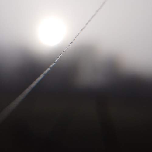 Photo #12862671