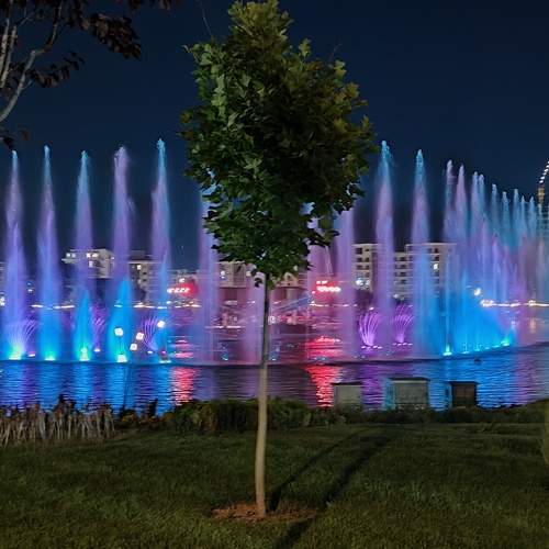 Photo #12862797