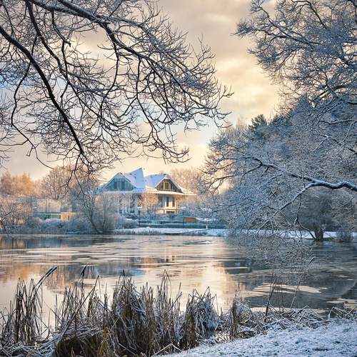 The first snow