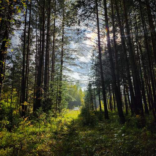 Photo #12863183
