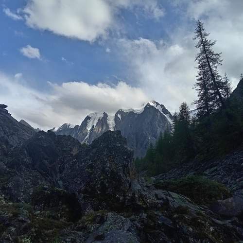 Photo #12863418