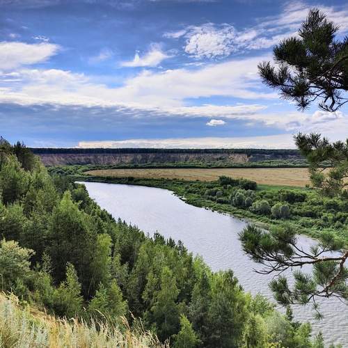 Photo #12863603