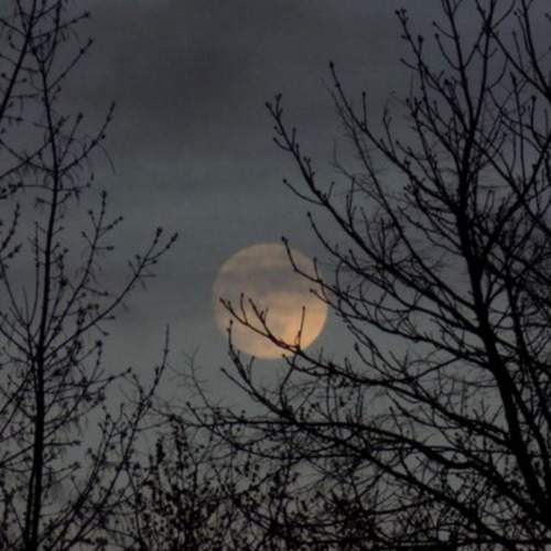 Photo #12863799
