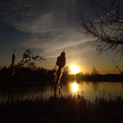 Photo #12863820