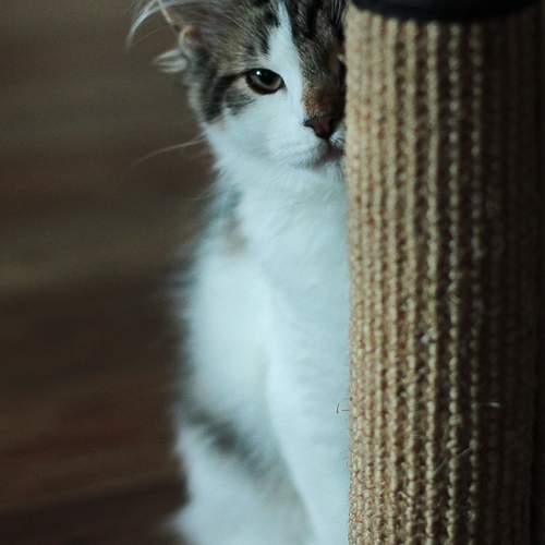 Photo #12864573