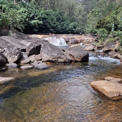 Photo #12864633