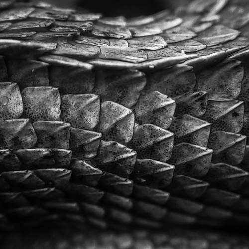 The Patterns of Armor