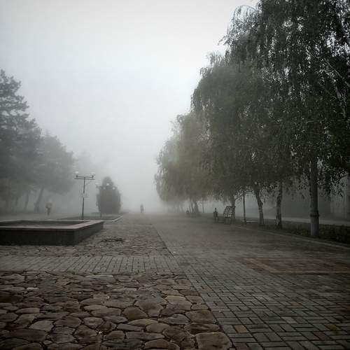 Photo #12864750