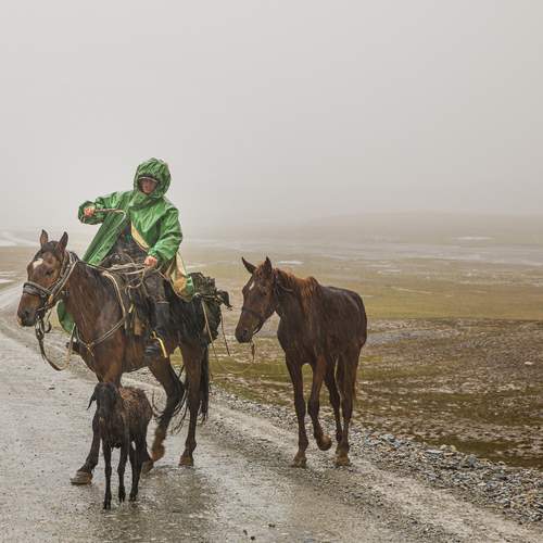 Photo #12864853