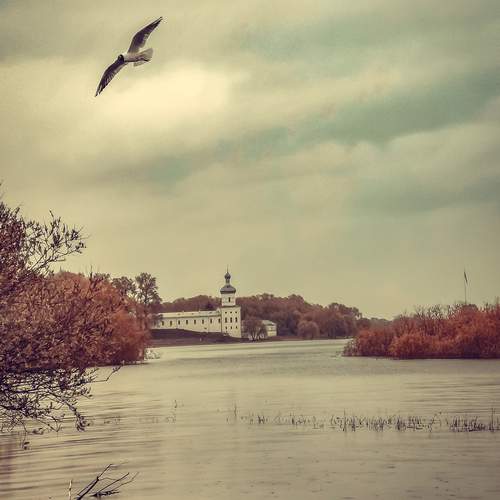 Photo #12865040