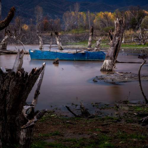 Photo #12865681