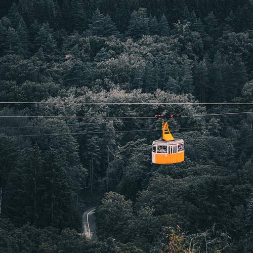 Photo #12865706