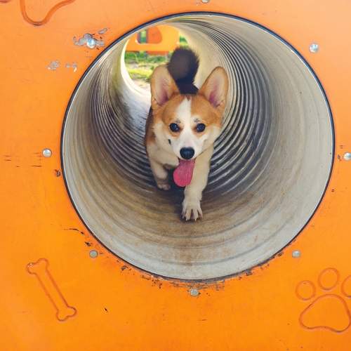 Photo #12865898