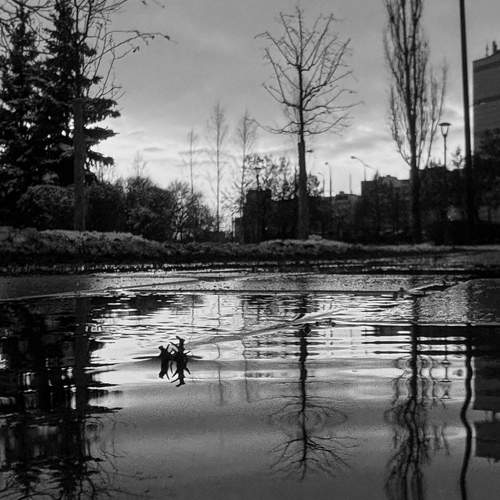 Photo #12865902