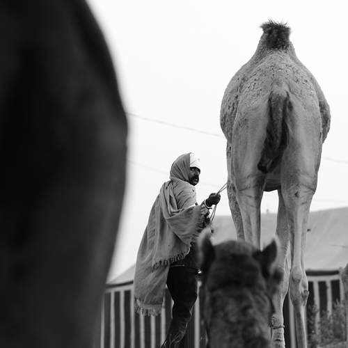 Photo #12865946