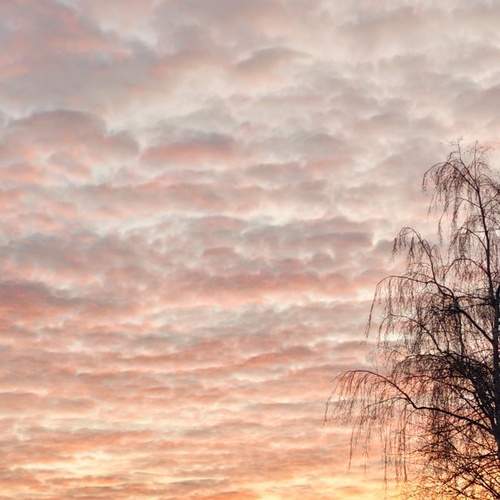 Photo #12866101