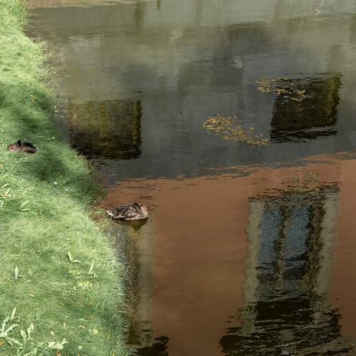 Photo #12866269