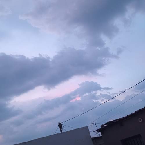 Photo #12866345