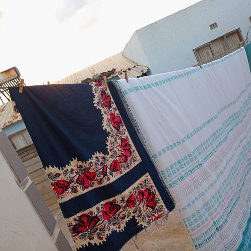 Photo #12866355