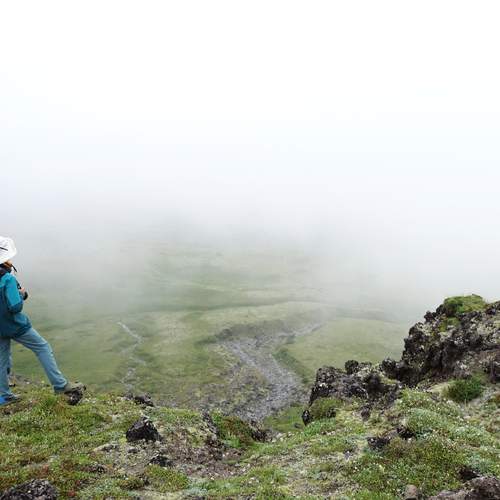 Photo #12866365