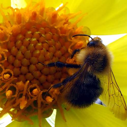 Photo #12866509