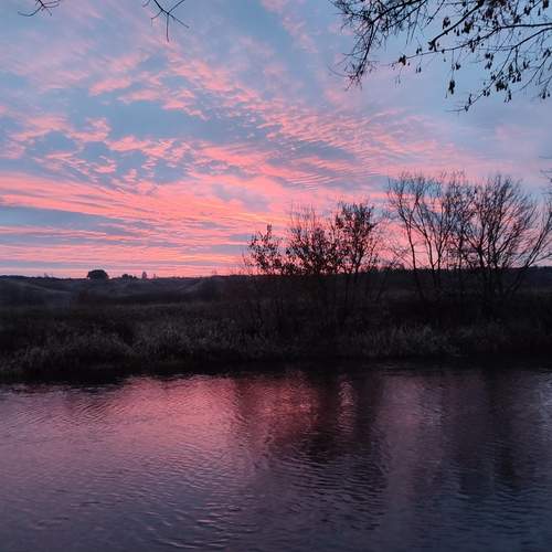 Photo #12866531