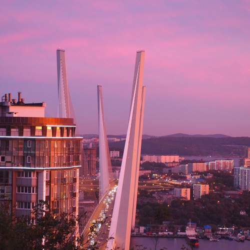Photo #12866694
