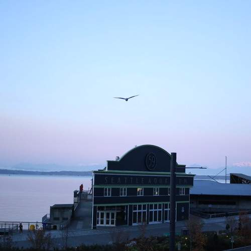 Photo #12866696