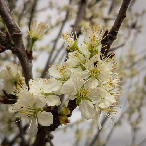 Photo #12866776