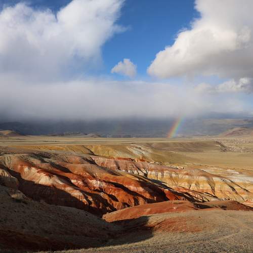 Photo #12866812