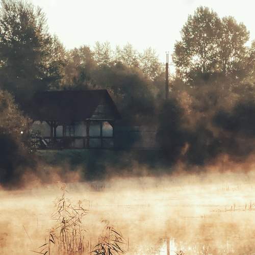 Photo #12866901
