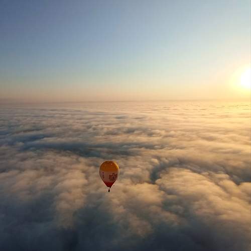 Photo #12866912