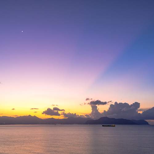 Photo #12866958