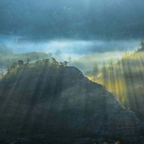 Photo #12867109